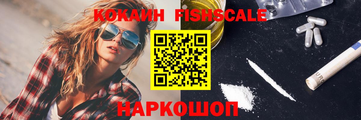 Кокаин Fish Scale  Вход с VPN  купить наркотики сайты  КОКАИН VHQ  Камышин 