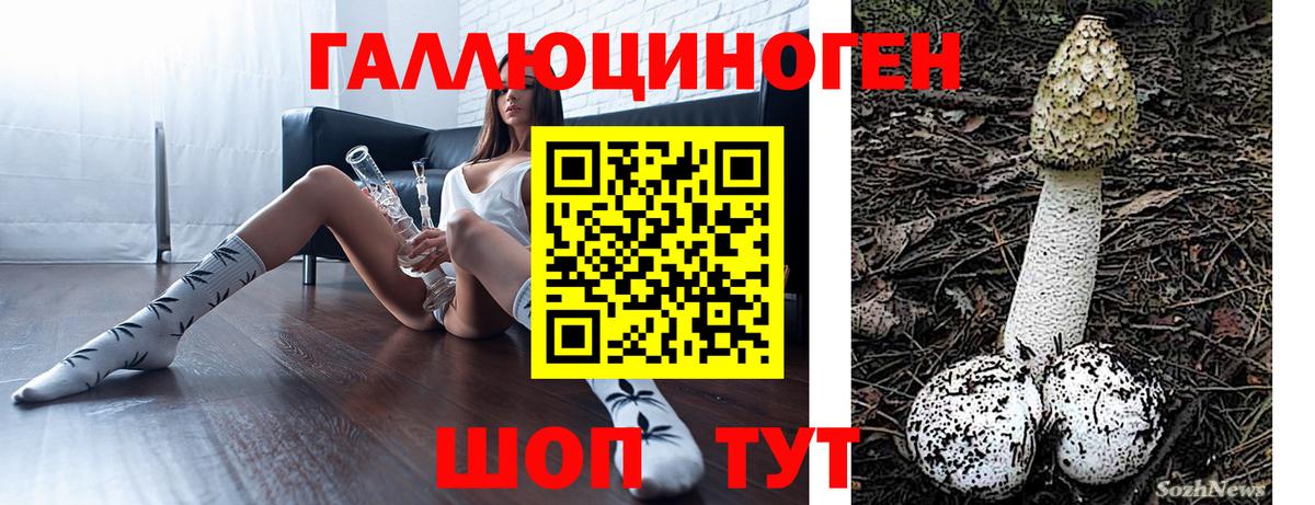 где купить наркотик  Вход с VPN  Камышин  Псилоцибиновые грибы Cubensis 