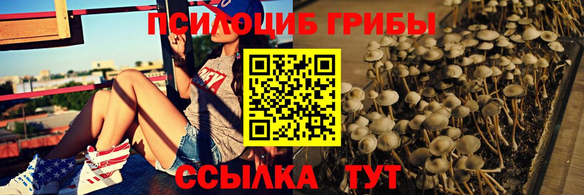 КОКАИН  Вход с VPN  APVP СОЛЬ   Марихуана  Камышин  МЕФ кристаллы 